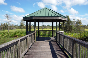 Obraz premium Scenic Overlook in a Nature Preserve