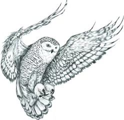 Fotobehang Uiltjes owl in flight Northern black white vector illustration  © Снежана Дашкевич