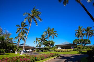 Fototapeta na wymiar Beach resort, Waikoloa, Big Island, Hawaii