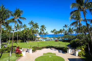 Plam trees at Beach resort, Waikoloa, Big Island, Hawaii. The Fairmont Orchid is a luxury hotel on the Kohala Coast of the island of Hawaii.  - 386069429