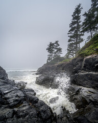 Waves crashing into the Rocks at Cox Bay on a Foggy Day at the Pacific Rim National Park on the West Coast of Vancouver Island, British Columbia, Canada