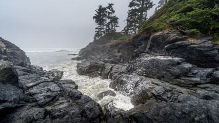 Waves crashing into the Rocks at Cox Bay on a Foggy Day at the Pacific Rim National Park on the West Coast of Vancouver Island, British Columbia, Canada
