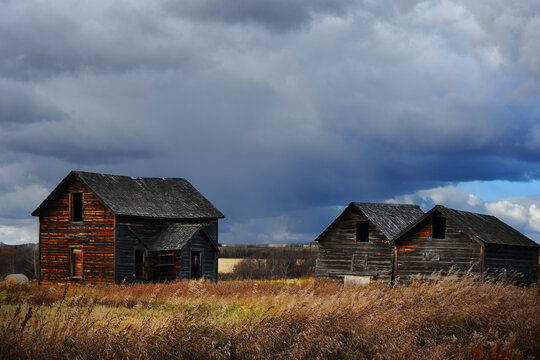 An image of an old abandoned homestead and two wooden granaries under dark stormy skies. 