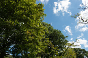 秋の空