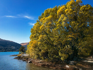 View from the Frankton Arm of the Kelvin Peninsula Trail, Queenstown, South Island, New Zealand