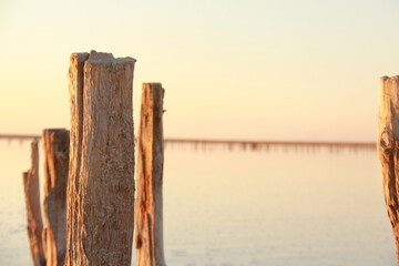 Fototapeta premium fence
