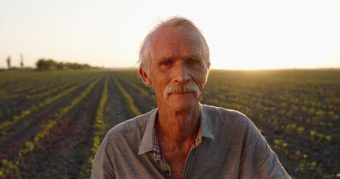 Old rancho worker standing on young spring field. Senior caucasian man looking at camera and positively smiling 4k footage
