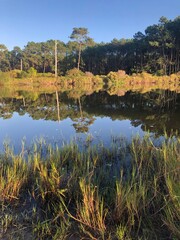 lake in autumn