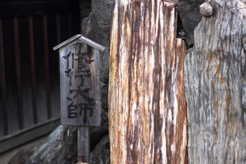 Time to visit the grave Higan Obon Japanese custom ancestor memorial service ohaka