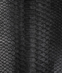 black texture from natural python
