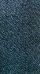 calf skin texture in dark cyan color
