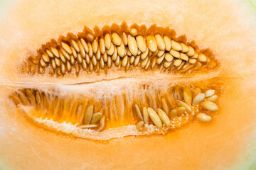 Cantaloupe texture background. yellow Melon pattern from nature.