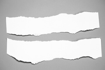 white torn paper on gray background. collection paper rip