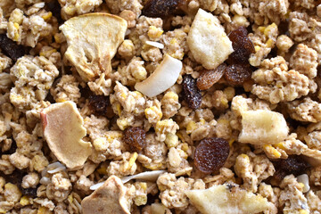 Muesli fruit and fiber cereal with dry oat, corn, banana, raisin, and apple.