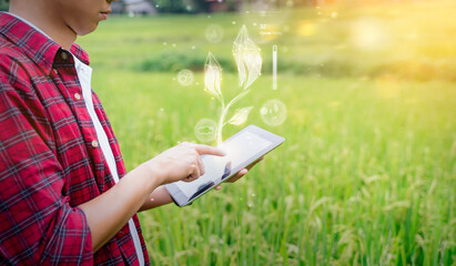 Agricultural engineering innovation modern technology Asian man farmer using tablet smart hologram touch screen program tracking diagnosing checking on plants health, rice field mountain background