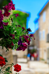 Fototapeta na wymiar Picturesque streets of Old town Budva with a view of the Adriatic sea and bokeh flowers in the foreground in Montenegro