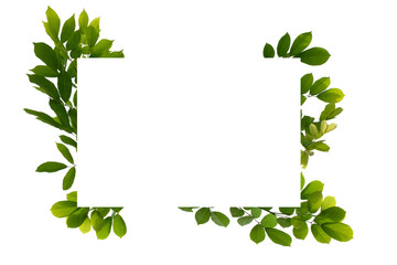 tree leaf frame isolated , nature frame template