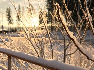 Winter dawn
