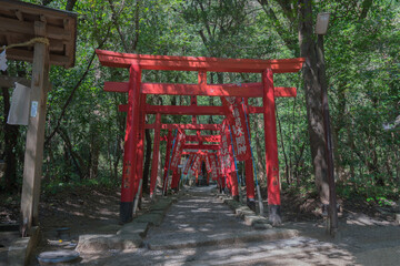 花の窟神社