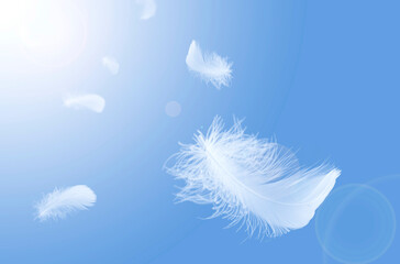 Soft light fluffy a feathers floating in the sky. Feather abstract freedom concept background. 