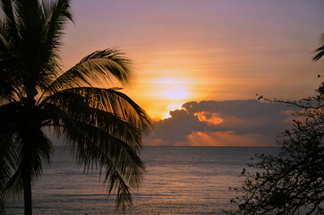 Fototapeta na wymiar sunrise over the ocean at Trinity Beach tropical Queensland Australia
