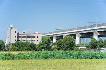 阪神高速14号松原線三宅西本線料金所付近