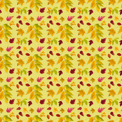 Pattern of multicolored autumn leaves of different types on pale yellow.