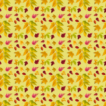 Pattern of multicolored autumn leaves of different types on pale yellow.