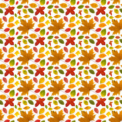 Pattern sequence of autumn leaves of different types on a white background.