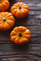 A group of miniature pumpkin on a wooden slat background