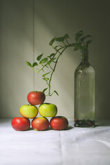 still life with apples