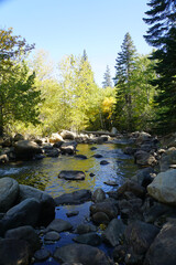 Vertical view of a large boulders in a river, framed by trees, on a sunny day in California