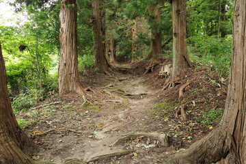 Fototapeta premium 日本 遠野の風景