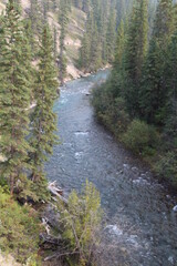 Bend In The Maligne River, Jasper National Park, Alberta