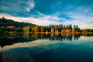 Blurred nature background view of naturally occurring trees and reflection on the water surface, the beauty of ecosystems at various vantage points.