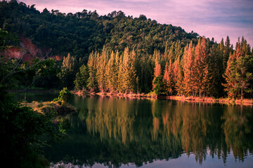 Blurred nature background view of naturally occurring trees and reflection on the water surface,...