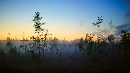 Obraz na płótnie Canvas Foggy summer night in Vasterbotten, northern Sweden