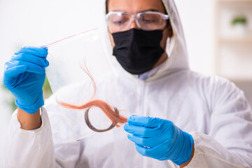 Male expert criminologist working in the lab for evidence