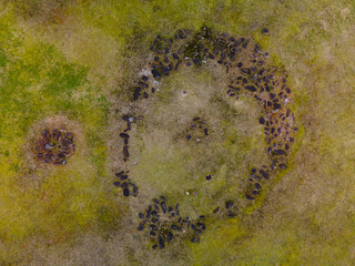 Oyu Stone Circles in Akita, 2020.