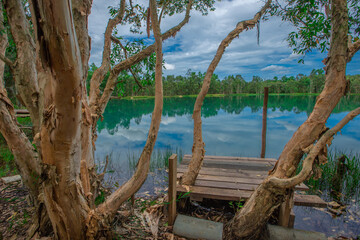 Fototapeta na wymiar Nature wallpaper The atmosphere along the natural reservoir is beautiful emerald green, surrounded by trees and various plants, with cool breezes.