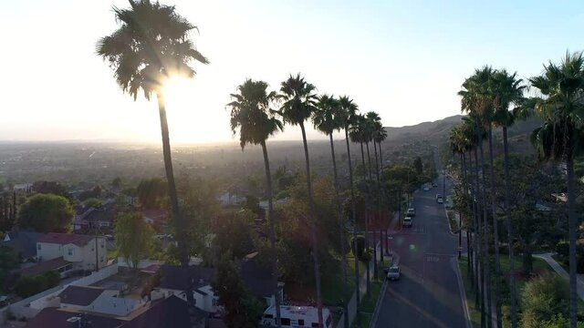 Drone view of Los Angeles through tall palm trees into the sun