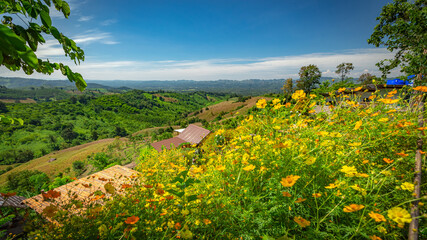 Beautiful natural beauty on mountain at Nan,  Khun Nan National Park,  Nan Province, Thailand © PRASERT
