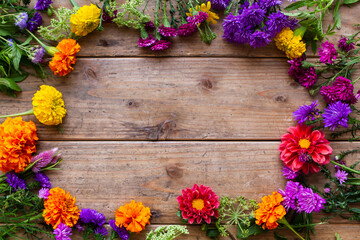 カラフルな庭の花のフレーム　ガーデニングのイメージ背景