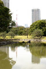 ビルとタワーのリフレクション