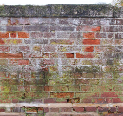 Weathered old terracotta brick wall showing green lichen growth and wear