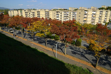 Fototapeta premium 千里ニュータウン藤白台（大阪府吹田市）の府公社藤白台B団地・千里丘陵G団地