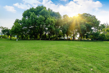 Fine weather and the lawn in the park