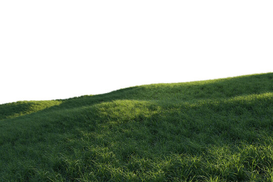 A 3D rendered meadow with green grass on a white background. 