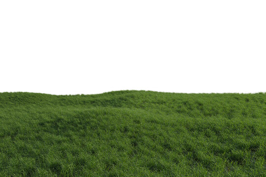 A 3D rendered meadow with green grass on a white background.