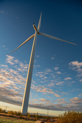 Fototapeta premium the wind generator rotates in white